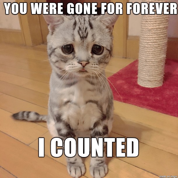 you-were-gone-for-forever-funny-cat-meme