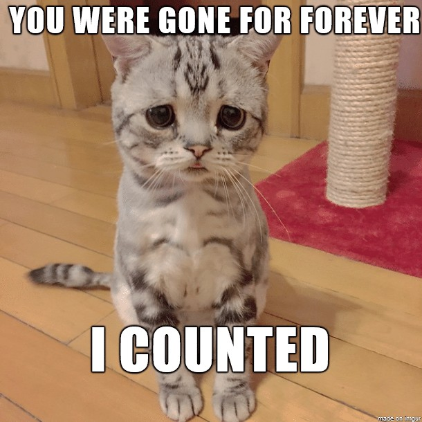 you-were-gone-for-forever-funny-cat-meme