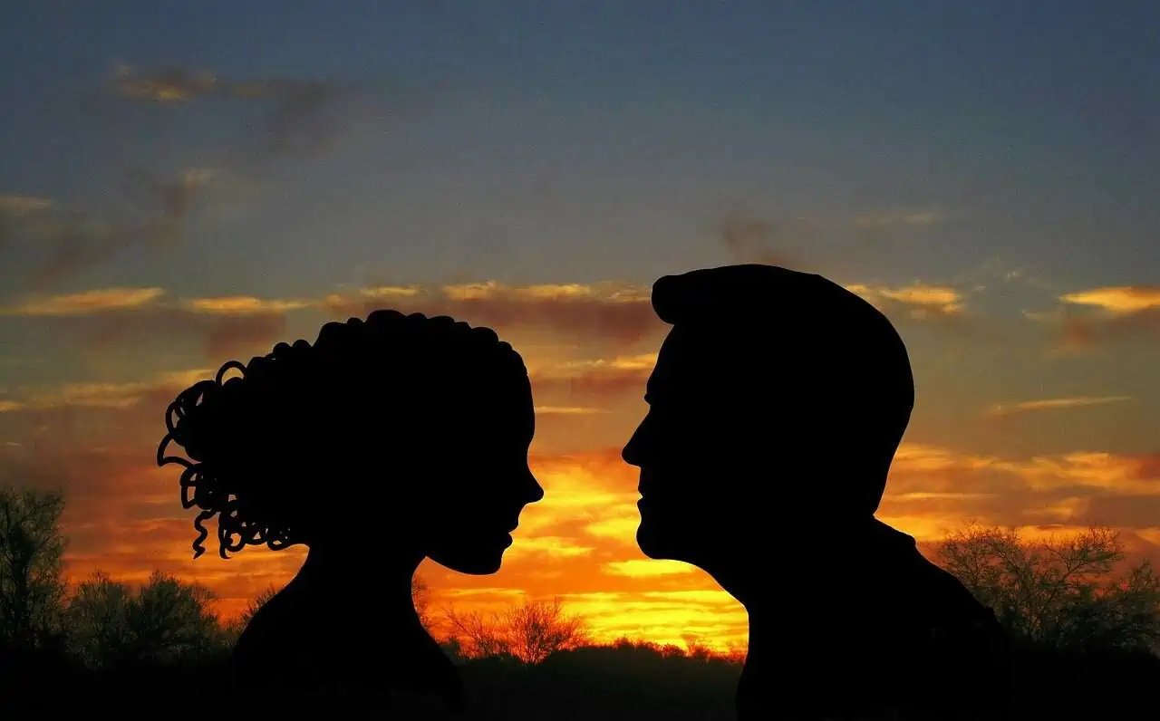 A silhouette of a man and a woman facing each other